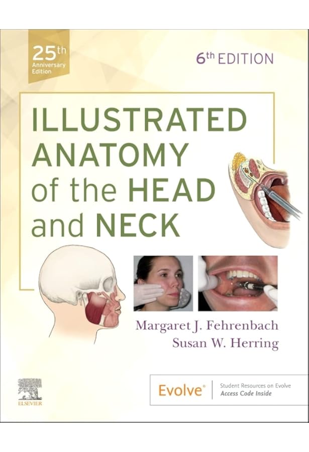 Student Workbook for Illustrated Dental Embryology, Histology and